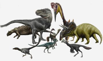Hell Creek Dinosaurs and Pterosaurs von Durbed.jpg