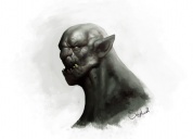 Orkischer Elitekrieger Sephiroth-Art.jpg