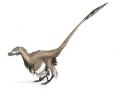 Velociraptor Dinoguy 2.jpg