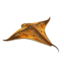 DeepAI Dünenschwimmer.png