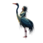 KREA.AI Hengeyokai.png