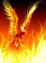 Phoenix Fire von cem-art.jpg