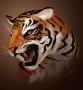 Tiger josea302.jpg